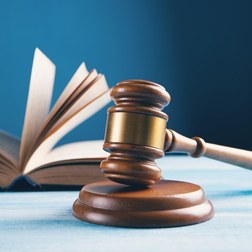 Expert Witness - defendants